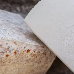 Dos trozos de queso, uno con moho y manchas anaranjadas, para saber si el queso está malo.