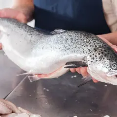 Un pescadero muestra un salmón fresco, un delicioso pescado azul, listo para ser preparado.