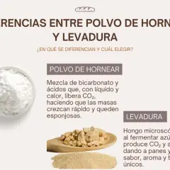 Comparativa visual de polvo de hornear y levadura, explicando la diferencia entre levadura fresca y seca y sus usos en repostería.