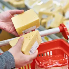 Manos sostienen trozos de queso cheddar, buscando opciones sin lactosa en el supermercado.