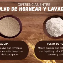 Levadura vs. polvo de hornear: uno es un organismo vivo para panes, el otro una mezcla química para pasteles y galletas.