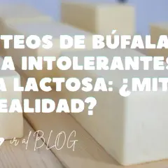 Queso de búfala: ¿apto para intolerantes a la lactosa? Descubre si el queso de búfala tiene lactosa y si es un mito o realidad.