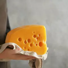 Un trozo de queso cheddar con agujeros, sostenido sobre una tela. Este queso cheddar es pasteurizado, ideal para disfrutar.
