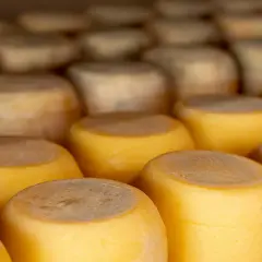 Quesos redondos apilados, listos para aprender como conservar el queso en la nevera.