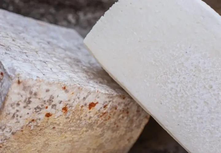 Dos trozos de queso, uno con moho y manchas anaranjadas, para saber si el queso está malo.