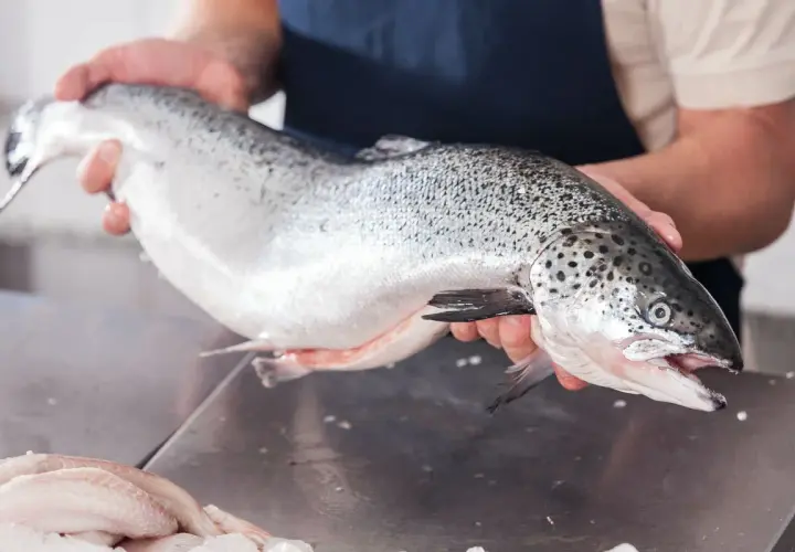 Un pescadero muestra un salmón fresco, un delicioso pescado azul, listo para ser preparado.
