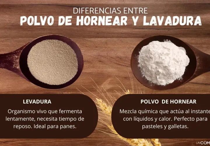 Levadura vs. polvo de hornear: uno es un organismo vivo para panes, el otro una mezcla química para pasteles y galletas.