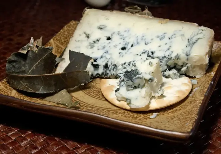 Un trozo de queso azul con vetas oscuras, servido sobre una galleta y hojas secas. Los diferentes tipos de moho en el queso le dan su característico color y sabor.
