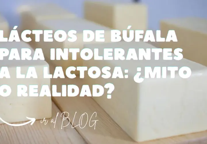 Queso de búfala: ¿apto para intolerantes a la lactosa? Descubre si el queso de búfala tiene lactosa y si es un mito o realidad.