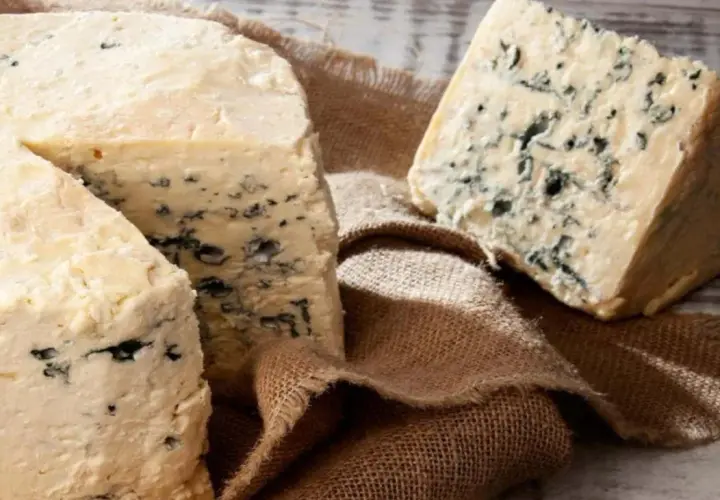 Queso azul con vetas oscuras sobre arpillera. Sus propiedades son únicas para realzar sabores.