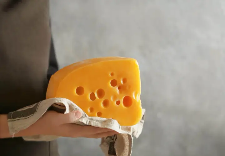 Un trozo de queso cheddar con agujeros, sostenido sobre una tela. Este queso cheddar es pasteurizado, ideal para disfrutar.