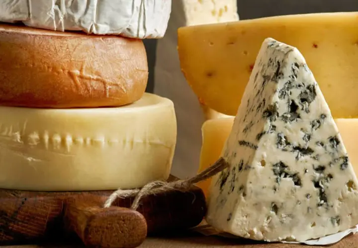 Variedad de quesos, incluyendo un trozo de queso azul y ruedas de queso, algunos de que quesos son pasteurizados.