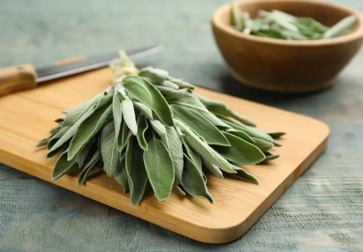 Manojo de salvia para cocinar sobre tabla de madera, con un cuchillo y un cuenco de madera con más hojas al fondo.