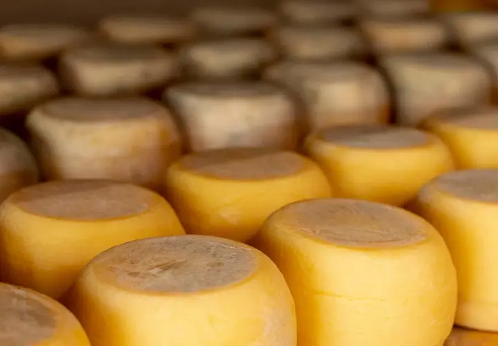 Quesos redondos apilados, listos para aprender como conservar el queso en la nevera.