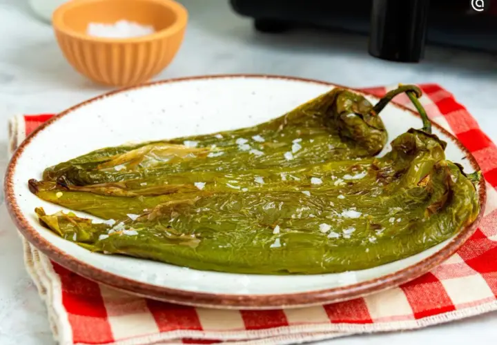 Dos pimientos verdes fritos, salpicados de sal gruesa, reposan en un plato blanco con borde marrón. Un paño a cuadros rojos y blancos y un cuenco de sal completan la escena.