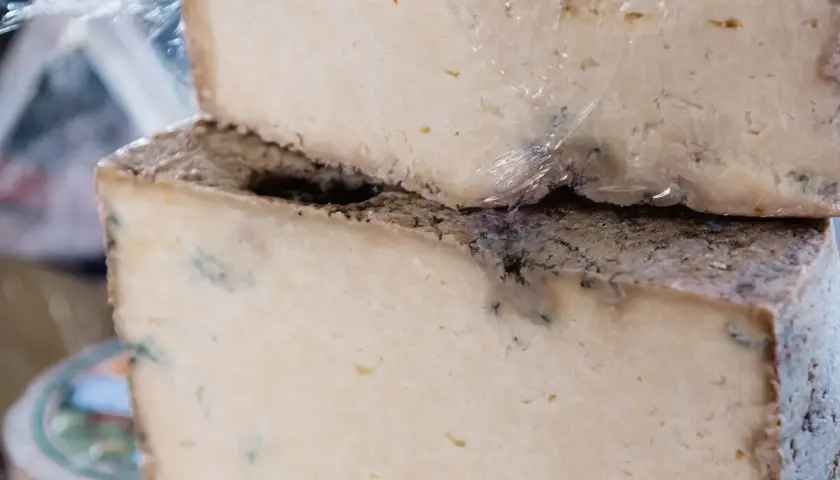 Dos bloques de queso apilados, con moho azul visible, sugieren que es queso en mal estado.