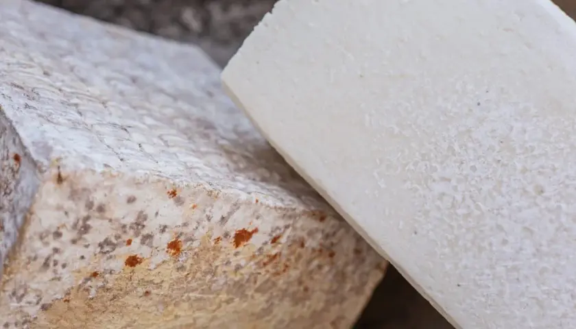 Dos trozos de queso, uno con moho y manchas anaranjadas, para saber si el queso está malo.