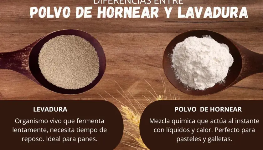 Levadura vs. polvo de hornear: uno es un organismo vivo para panes, el otro una mezcla química para pasteles y galletas.