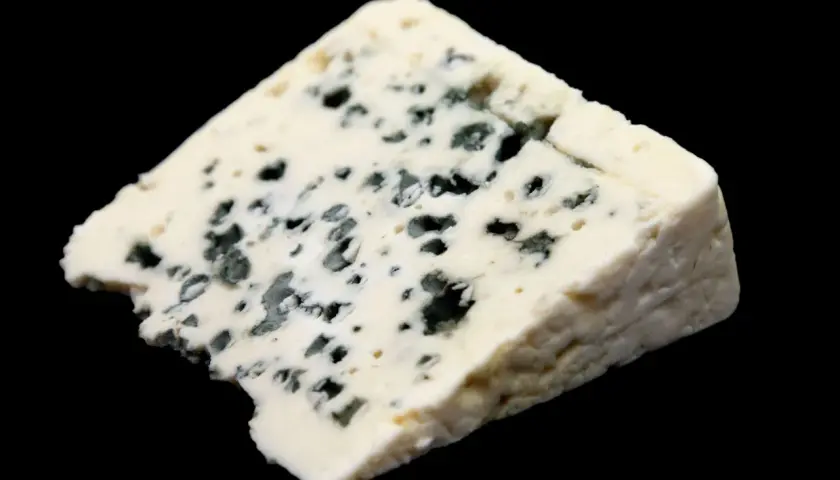 Un trozo de queso Roquefort con vetas azules y verdes, mostrando cómo se hace el queso roquefort con gusanos.