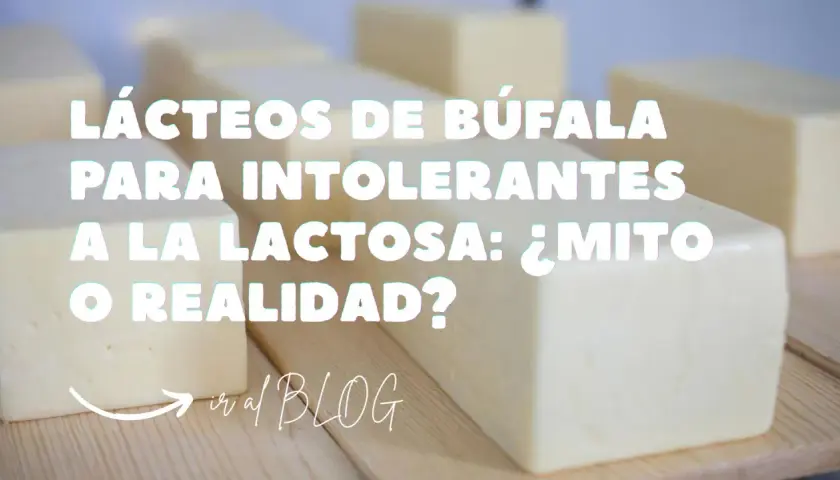 Queso de búfala: ¿apto para intolerantes a la lactosa? Descubre si el queso de búfala tiene lactosa y si es un mito o realidad.