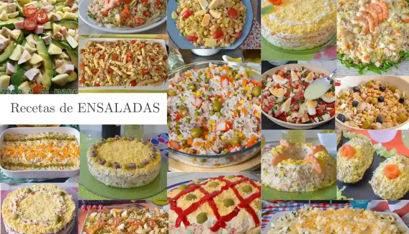 Variedad de tipos de ensaladas, desde las más clásicas hasta creaciones elaboradas, perfectas para cualquier ocasión.
