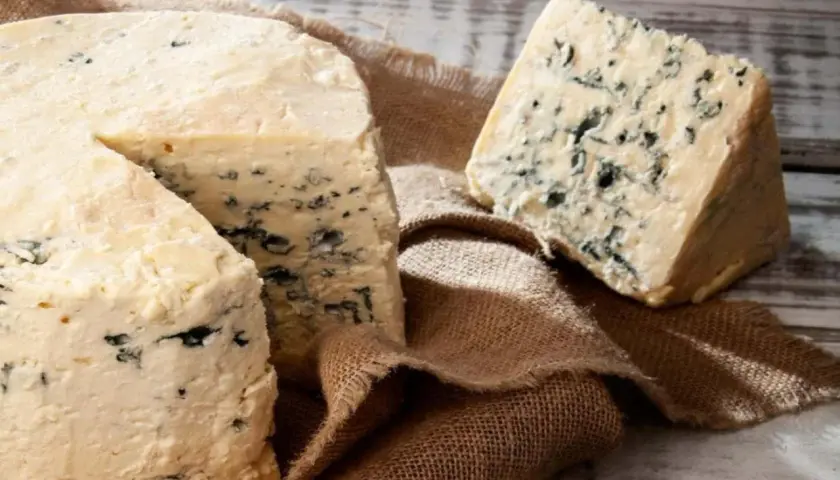 Queso azul con vetas oscuras sobre arpillera. Sus propiedades son únicas para realzar sabores.