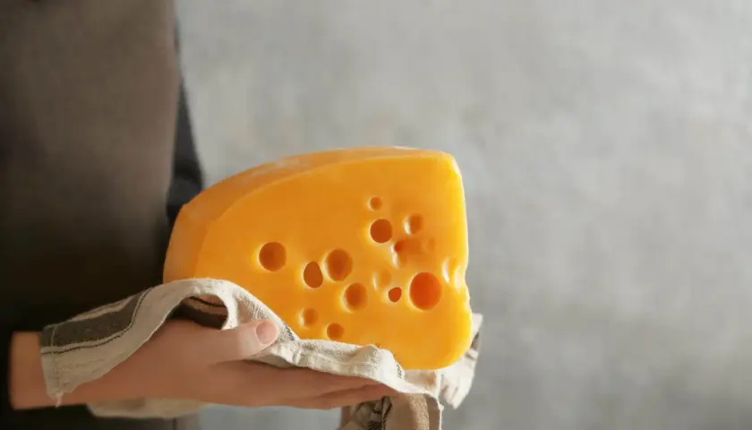 Un trozo de queso cheddar con agujeros, sostenido sobre una tela. Este queso cheddar es pasteurizado, ideal para disfrutar.