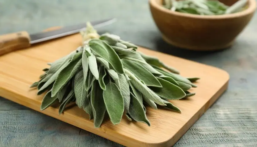 Manojo de salvia para cocinar sobre tabla de madera, con un cuchillo y un cuenco de madera con más hojas al fondo.