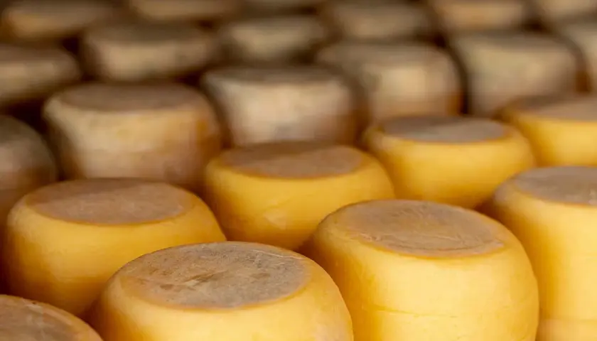 Quesos redondos apilados, listos para aprender como conservar el queso en la nevera.