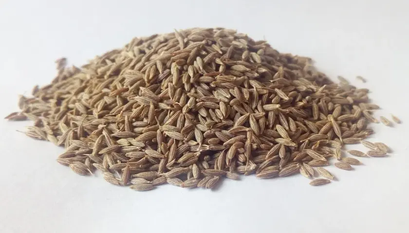Montón de semillas de comino secas, con su forma alargada y color marrón claro, listas para dar sabor a tus platillos.