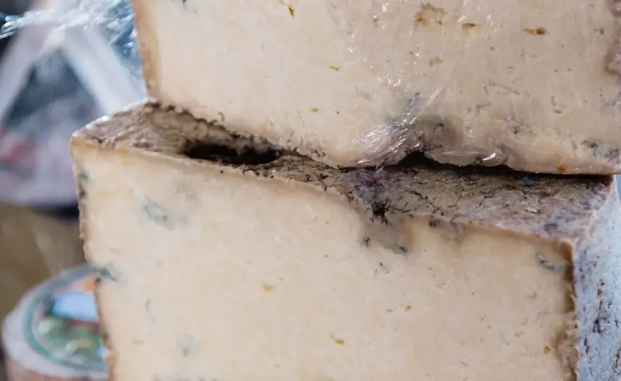 ¿Cómo saber si el queso está en mal estado?