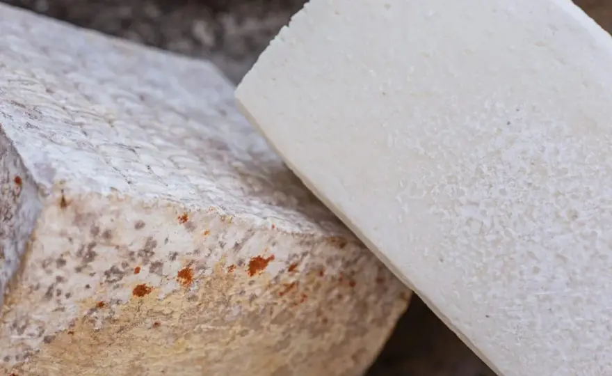¿Cómo saber si el queso está malo? Señales para no arriesgarte