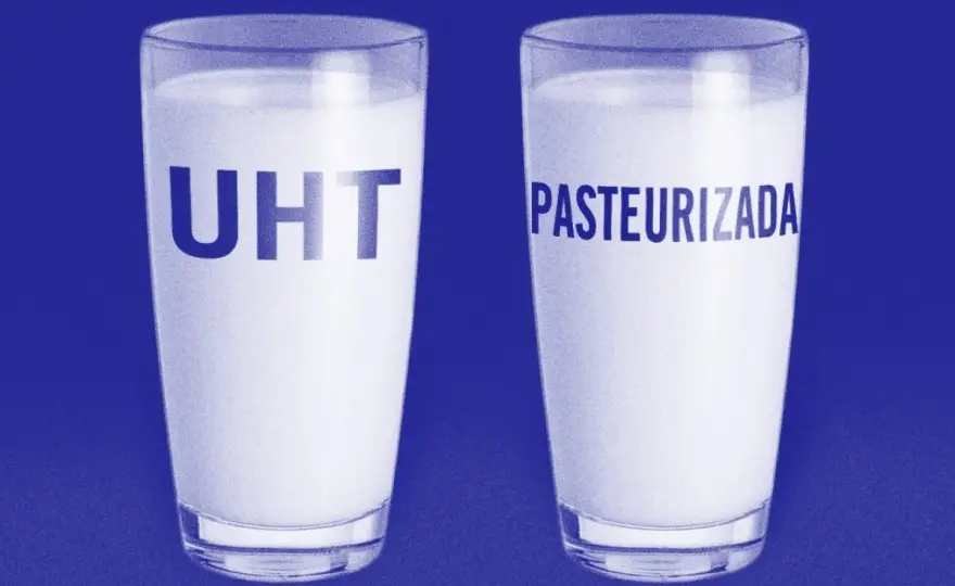 ¿La leche fresca está pasteurizada? Qué dice la etiqueta