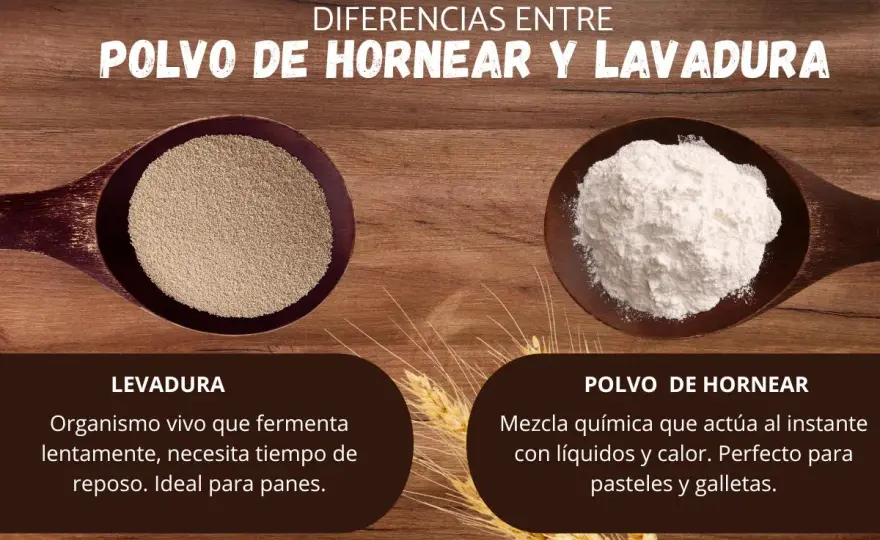 Bicarbonato sódico o levadura química - cuándo usar cada uno