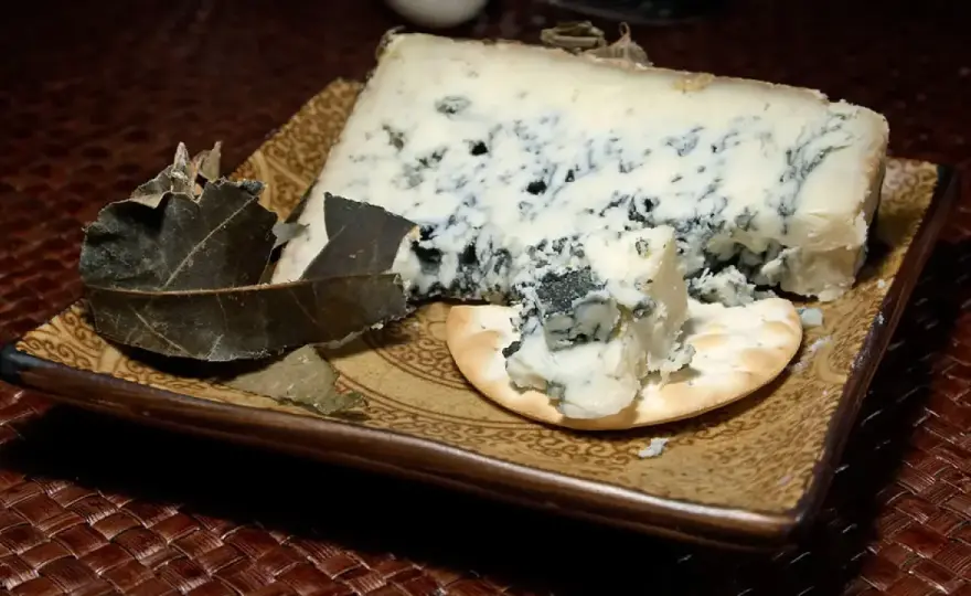 Tipos de moho en el queso - cuáles son seguros y cuándo tirarlo