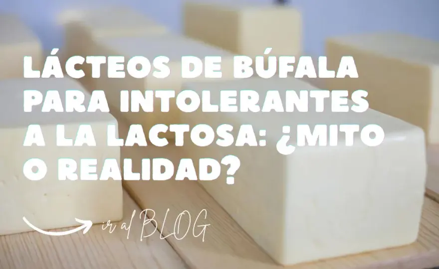 ¿La mozzarella de búfala tiene lactosa? Esto debes saber