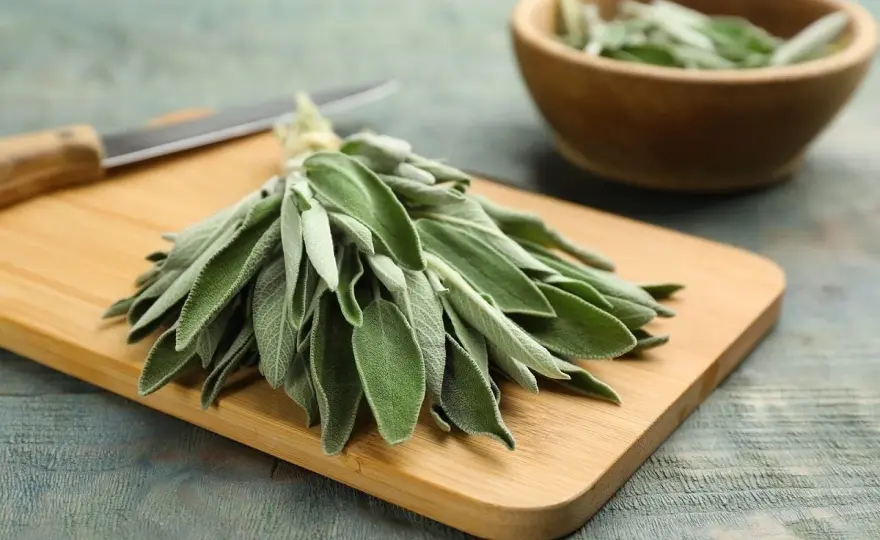 Cómo cocinar con salvia y aprovechar todo su aroma