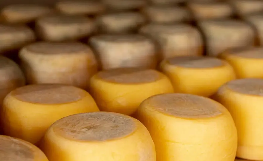 Cómo conservar el queso en la nevera según su variedad