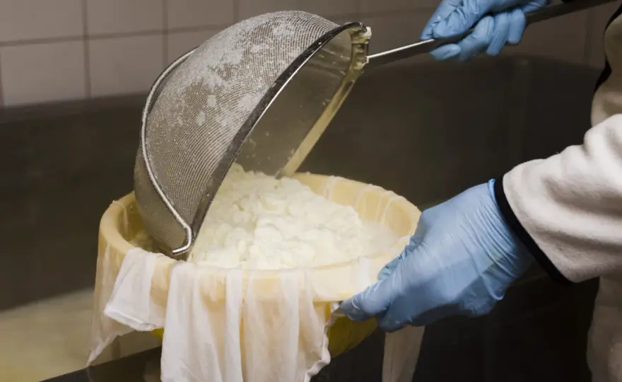 Qué es el cuajo y cómo elegirlo para hacer queso