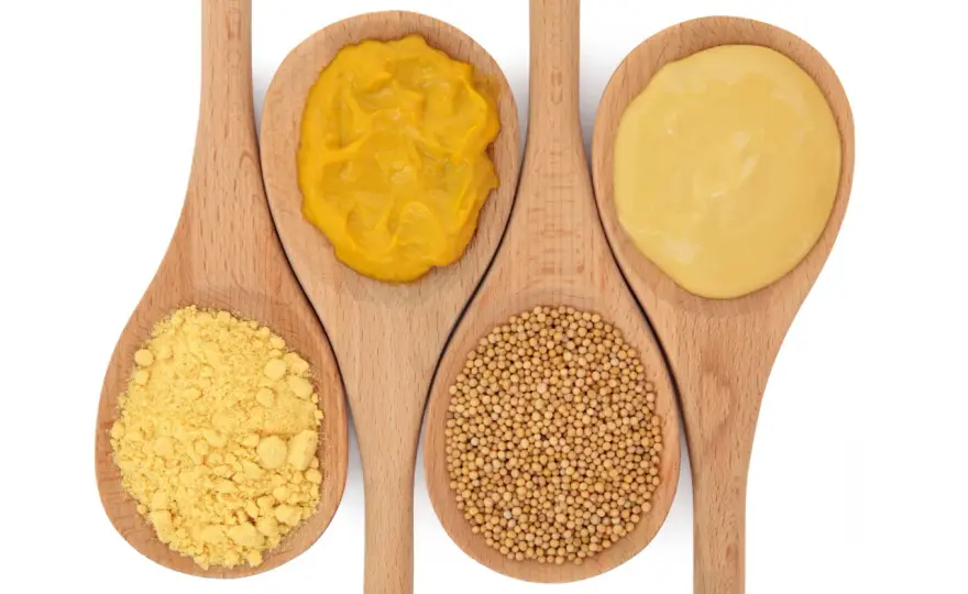 Mostaza, variedades y trucos para usarla en la cocina