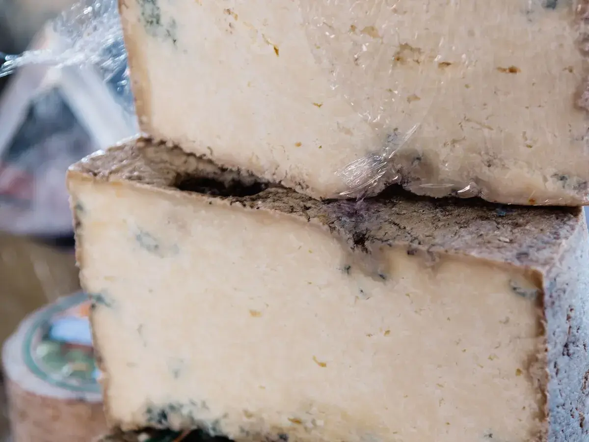 Dos bloques de queso apilados, con moho azul visible, sugieren que es queso en mal estado.