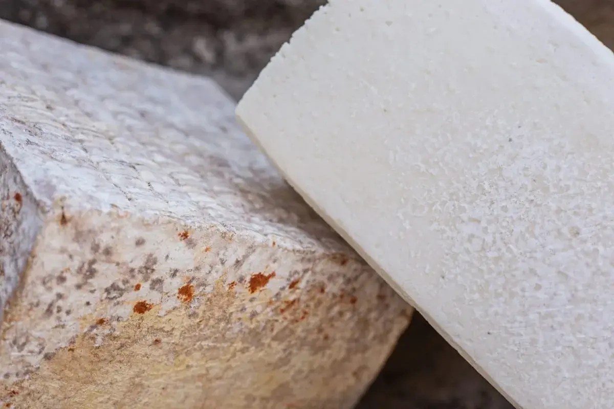 Dos trozos de queso, uno con moho y manchas anaranjadas, para saber si el queso está malo.