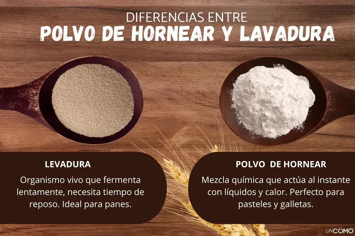 Levadura vs. polvo de hornear: uno es un organismo vivo para panes, el otro una mezcla química para pasteles y galletas.