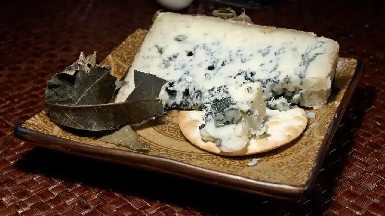 Un trozo de queso azul con vetas oscuras, servido sobre una galleta y hojas secas. Los diferentes tipos de moho en el queso le dan su característico color y sabor.