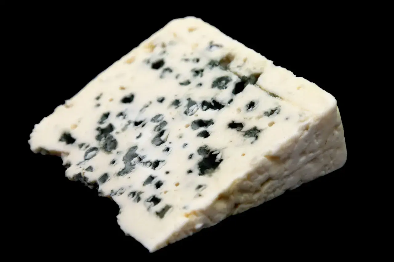 Un trozo de queso Roquefort con vetas azules y verdes, mostrando cómo se hace el queso roquefort con gusanos.