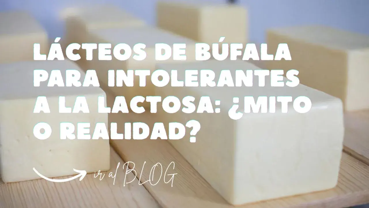 Queso de búfala: ¿apto para intolerantes a la lactosa? Descubre si el queso de búfala tiene lactosa y si es un mito o realidad.