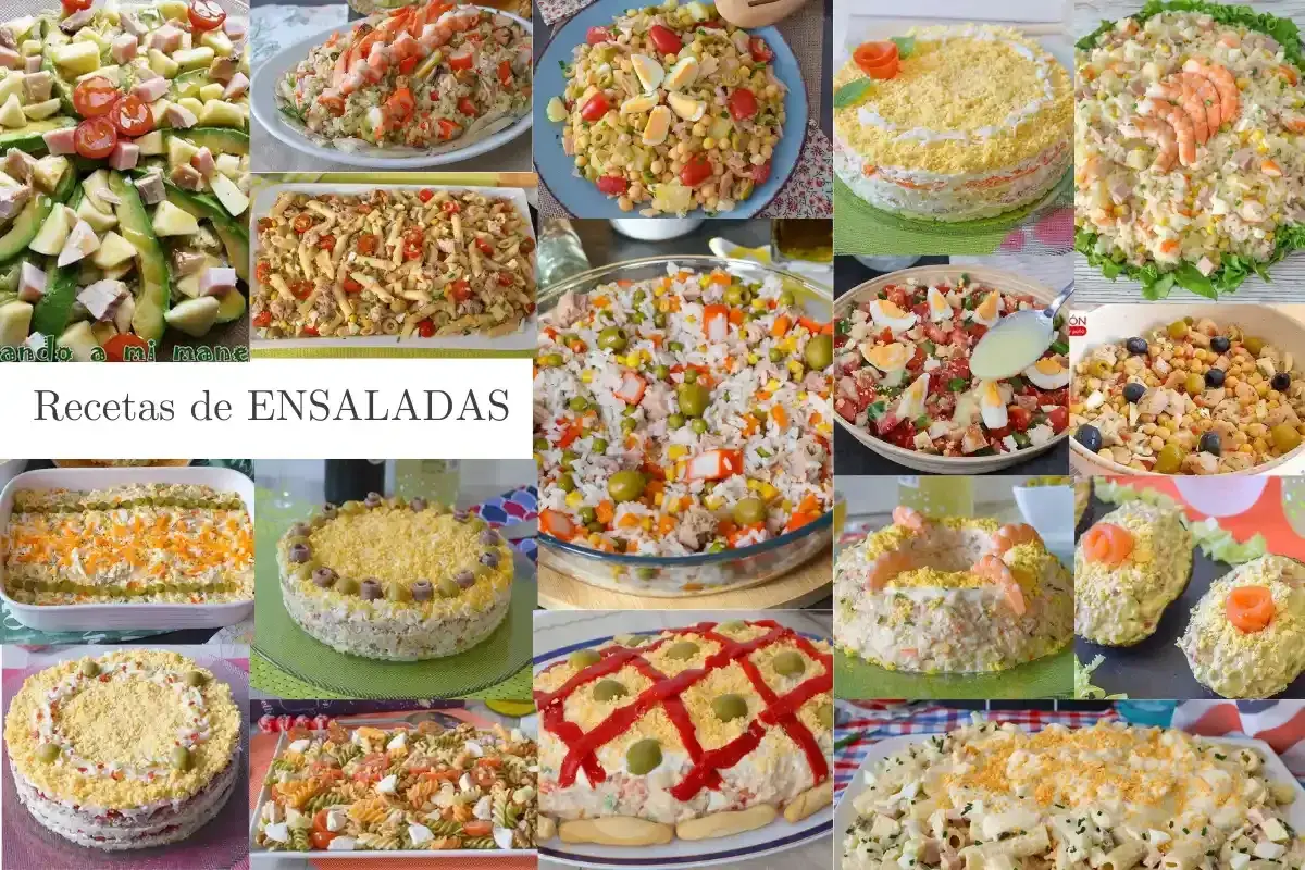 Variedad de tipos de ensaladas, desde las más clásicas hasta creaciones elaboradas, perfectas para cualquier ocasión.