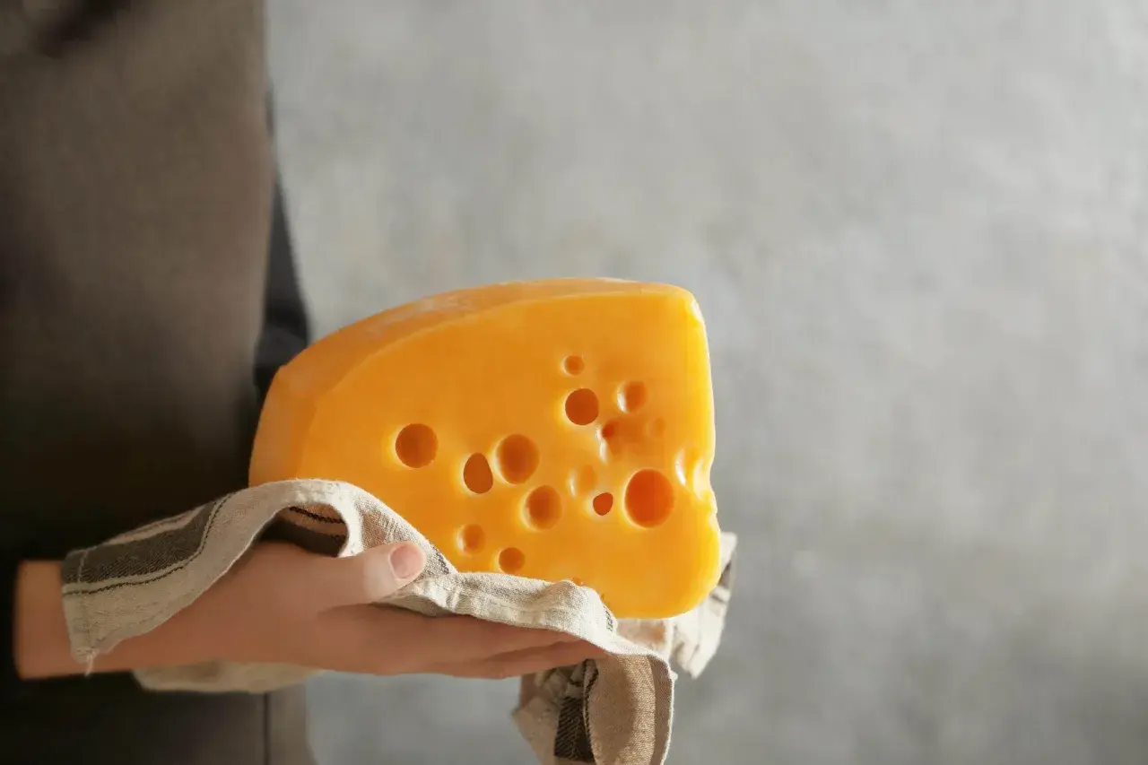 Un trozo de queso cheddar con agujeros, sostenido sobre una tela. Este queso cheddar es pasteurizado, ideal para disfrutar.
