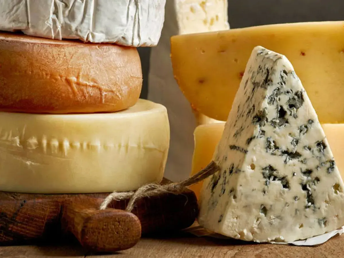 Variedad de quesos, incluyendo un trozo de queso azul y ruedas de queso, algunos de que quesos son pasteurizados.