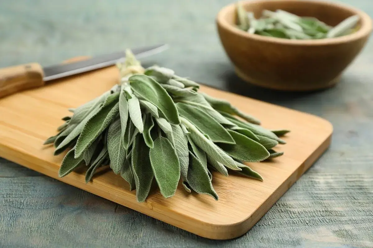 Manojo de salvia para cocinar sobre tabla de madera, con un cuchillo y un cuenco de madera con más hojas al fondo.